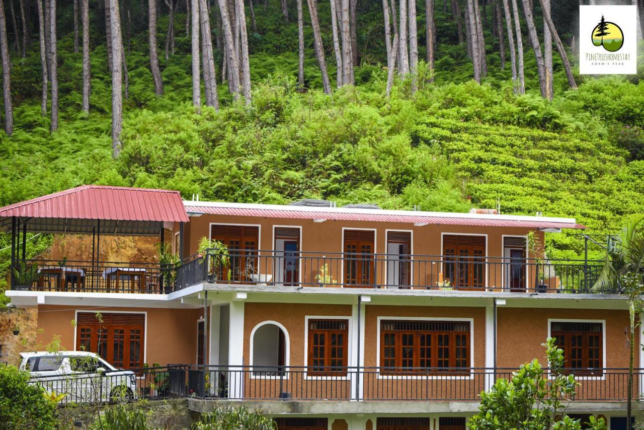 Pine Trees Homestay Наллатаннія Екстер'єр фото